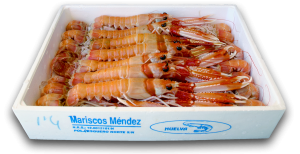 Cigalas de Huelva en caja de poliexpan
