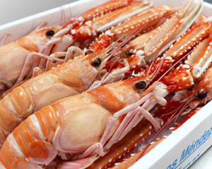 Cigala grande, marisco selecto de Huelva.