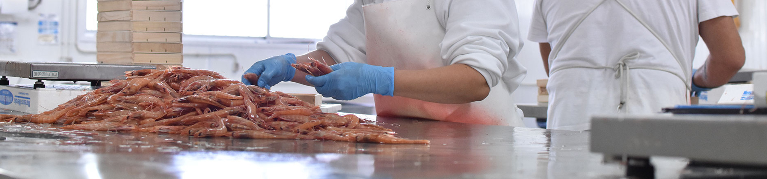 elaboración mariscos