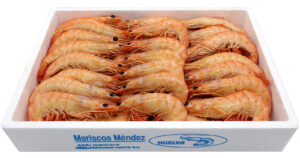 Langostino blanco de calidad, marisco fresco de Huelva.
