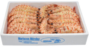 Langostino de Sanlúcar, seleccionado por Mariscos Méndez.