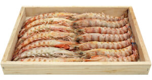 Langostino de Sanlúcar, ideal para la plancha, calidad gourmet.