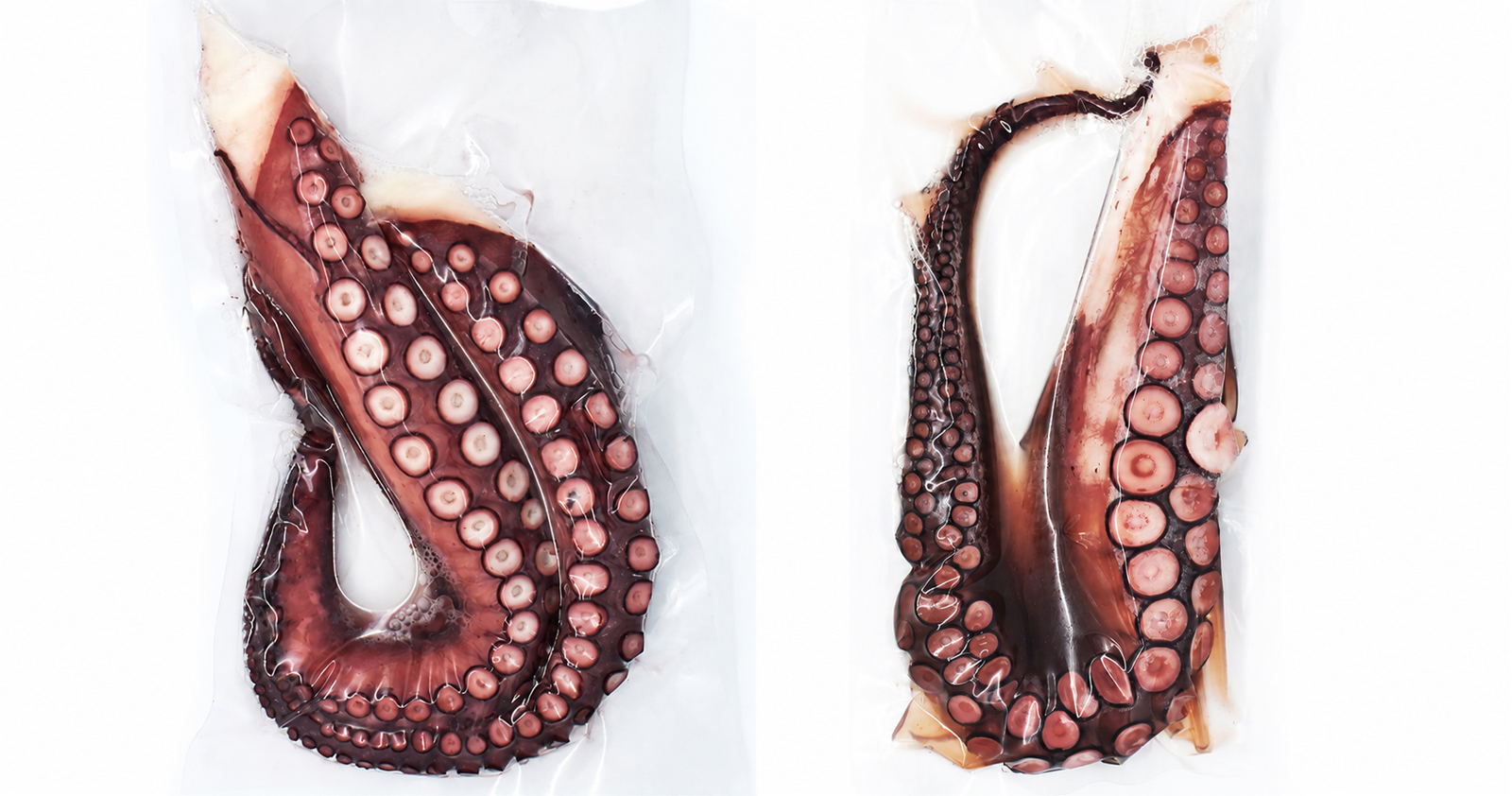 Rejo de Pulpo cocido