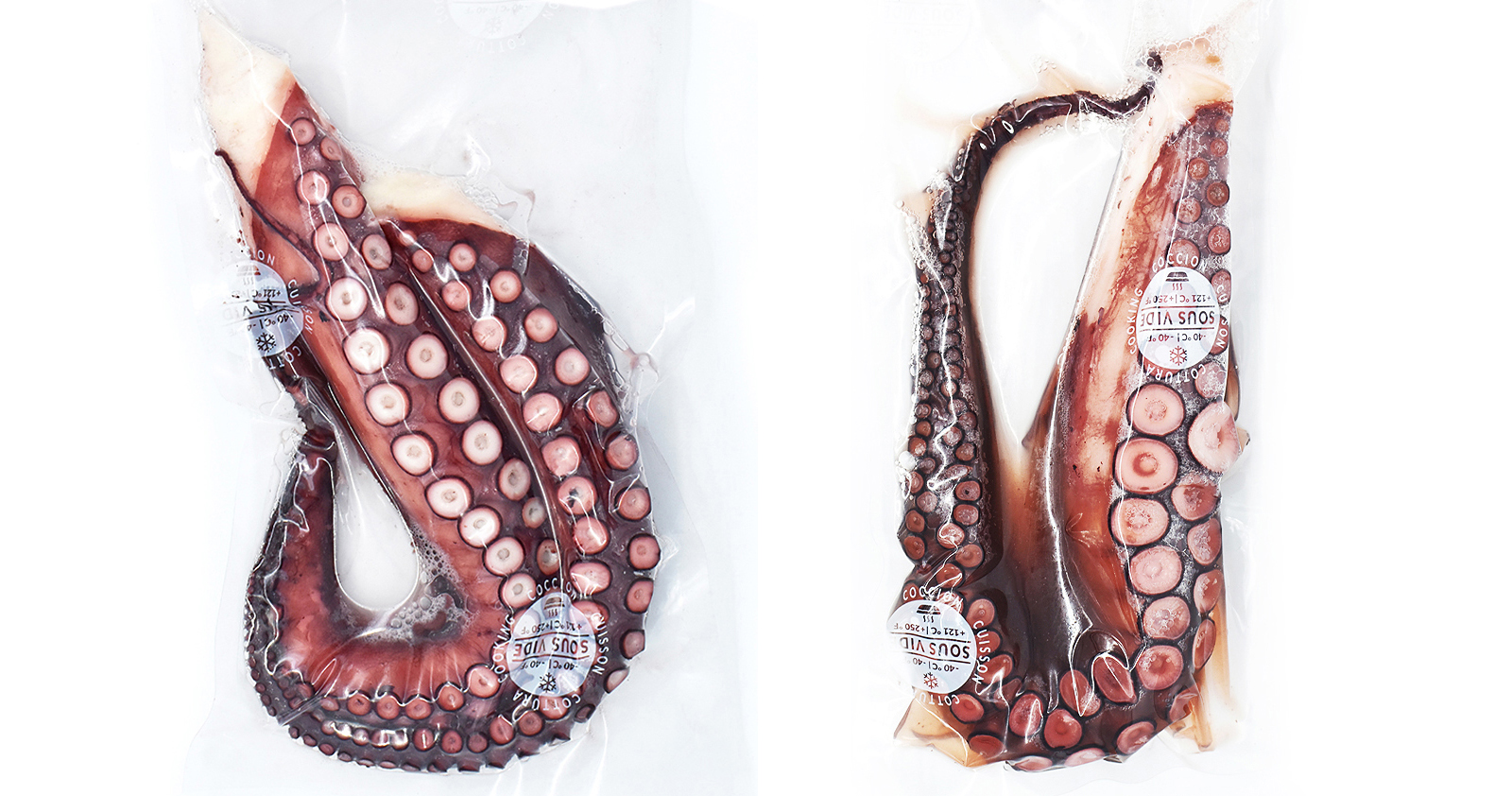 Rejo de Pulpo cocido