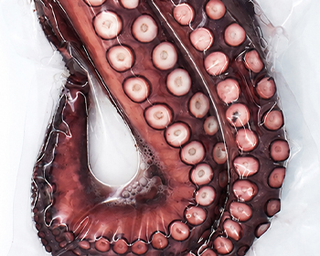 Rejo de Pulpo