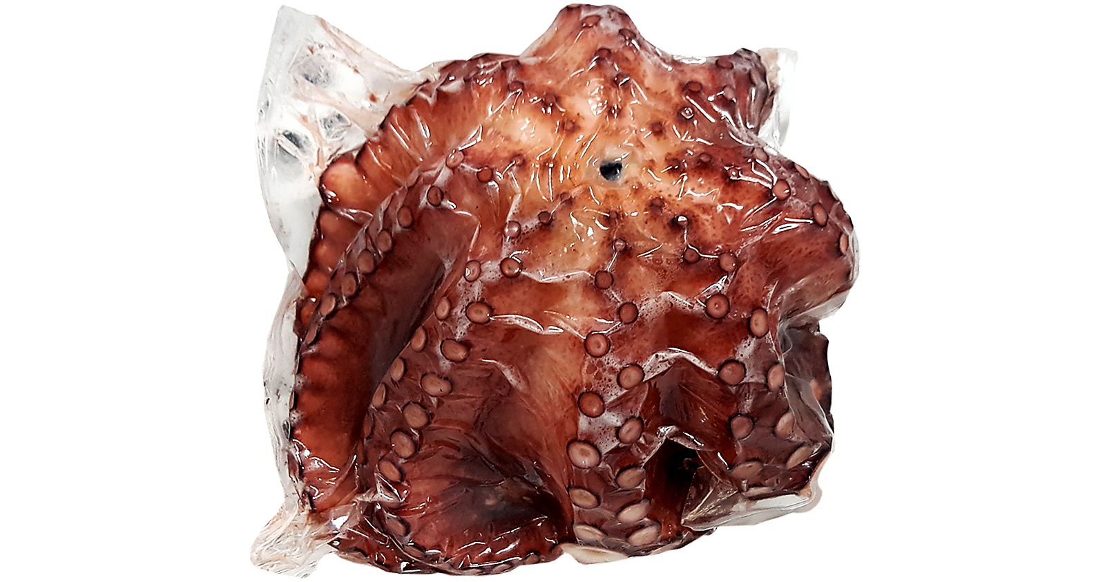 Pulpo entero cocido