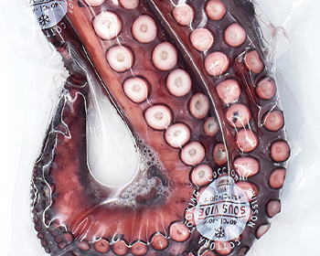 Rejo de Pulpo