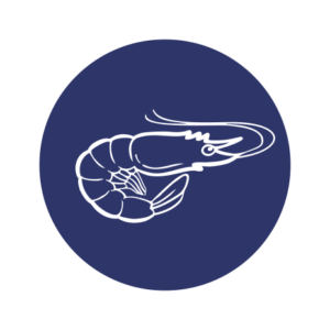Elaboración