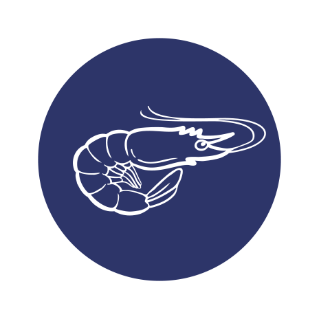 Elaboración